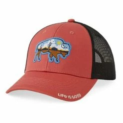 Best reviews of 🔔 Hats & Caps Men's Life Is Good Off Road Beast Hard Mesh Back Snapback Hat 🤩